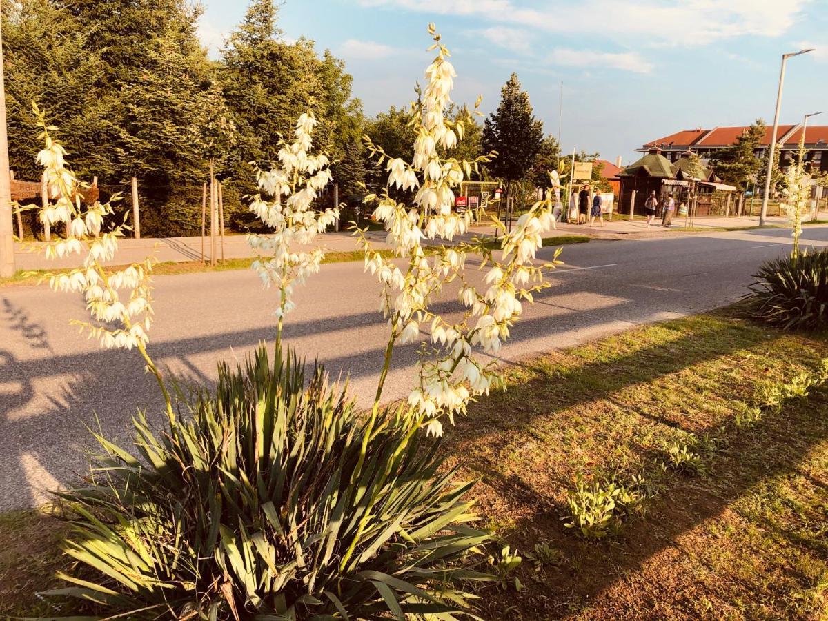 Club Thermal Village Cegled Cegléd Exterior foto